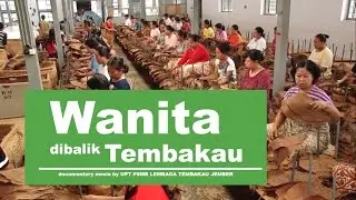 Perempuan Tangguh di Balik Tembakau movie by UPT PSMB LEMBAGA TEMBAKAU JEMBER