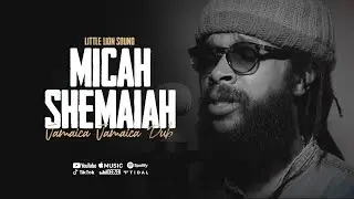 Micah Shemaiah & Little Lion Sound - Jamaica Jamaica Dub (Official Audio)