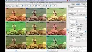 ColorNeg: Introduction to converting negative scans with ColorPerfect