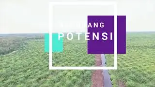 Mari Berkunjung ke Ogan Komering Ilir