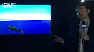 NEC NY Showcase: NEC Display Talks About E657Q E-Series Display with New UHD Capabilities
