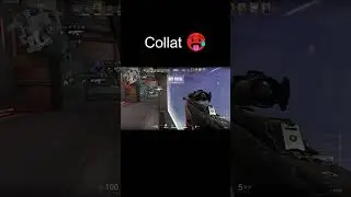 Collat 🥵 🐦 #shorts