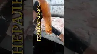 ГЕНЕРАЛЬСЬКЕ САЛО