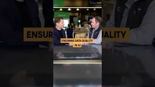 Ensuring Data Quality in AI
