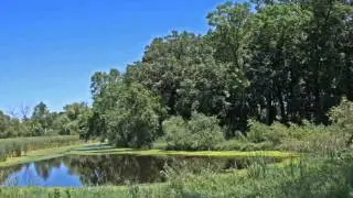 630 Carpenters Point, Wayzata MN 55391 View 1