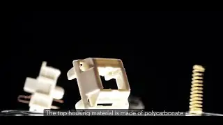 Durock Koala Sound Test