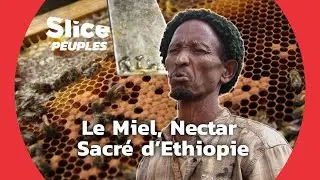 La Culture du Miel : Un Savoir Faire Ancestral | SLICE PEUPLES