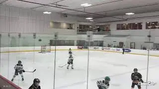 Shelly Zubyck Live Stream U11B Puckhounds Finals