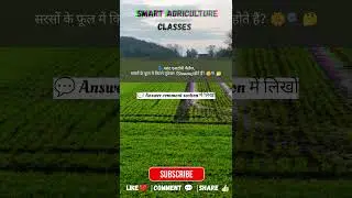 क्रूसीफेरा फैमिली का फीचर! काउंट करो। 👇🌼#MustardBotany #Tetradynamous #PlantScience #AgBotany