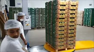 ENVOLVEDORA DE PALLETS DPL 1000
