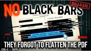 NO BLACK BARS - DOJ Epstein Files Redaction FAILED 🚨