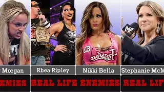 WWE Female Wrestlers And Their Real Life Enemies!