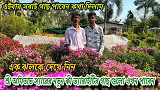 শীতের শুরুতেই এক ঝলকে দেখে নিন অমিতাভ স্যারের কি কি আইডি পাবেন এখুন / Bougainville Nursery visit 