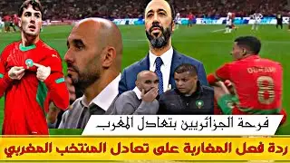 تعادل المنتخب المغربي امام مالي ردة فعل المغاربة على النتيجة 