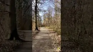 &Ccedil;a fait plaisir la connexion avec la nature 🌲🙏