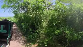 Argentina | Iguazú | Tren ecológico 2 | 360°