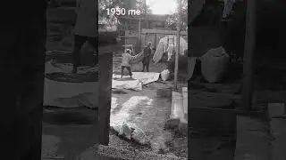 #oldsong #1959round2hell #tarikere #music
