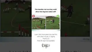 Front Cross timing in agility&hellip;