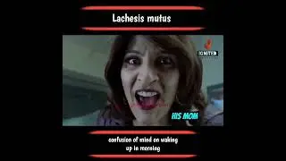 lachesis mu. 😅🤣 in morning #homeopathicmedicine #medicinehub2025