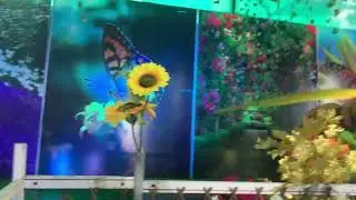 Robotic Butterfly park #butterfly park #butterfly