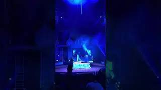 Trio Hand To Hand High Strength _ Energy Level Performance In Germany 🇩🇪 
