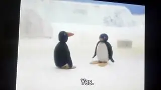 ZPB Reacts #32: Pingu Korean English Dub Highlights (Vol 3)