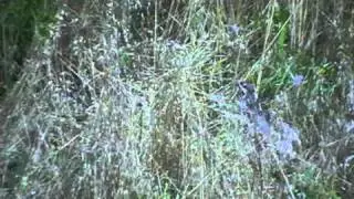 20100909 202605