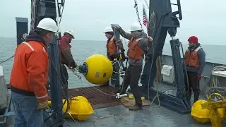 Buoy Trip with Large Lakes Observatory