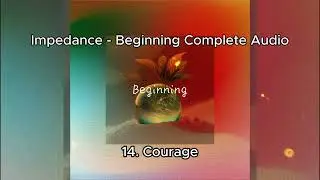 Impedance Beginning Complete Audio