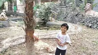 Animal park - CF block, Salt lake