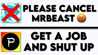 Троллинг ненавистников MrBeast в Twitter
