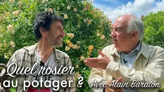 Rencontre avec Alain Baraton : quel rosier dans mon potager ?
