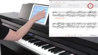 &ldquo;Connecting the Piano Partner 2&rdquo; Roland GP / LX / HP / DP series #08