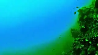 Paliton Sanctuary 8