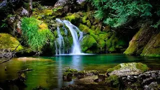 Waterfall BEAUTIFULL VIEW #relaxingsnow #meditationmusic #nature #naturelovers