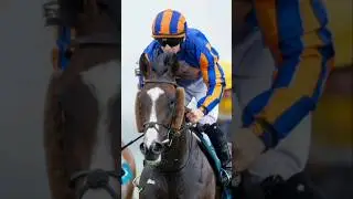 Scandinavia  Wins Betfred St Leger Stakes (Group 1)