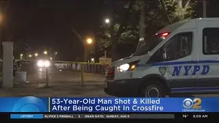 Man Killed In Crossfire Of Crown Heights Shooting