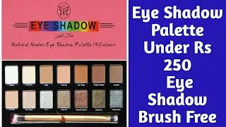 ADS EYE SHADOW Palette Review In Hindi/Under Rs 250// (14 Colours) &  Eye Shadow Blending Brush FREE