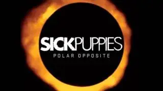 Sick Puppies - Don't Walk Away (Acoustic Version)