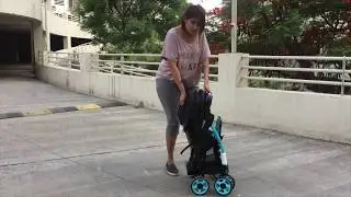 R for Rabbit Poppins Stroller | Real Moms Real Reviews