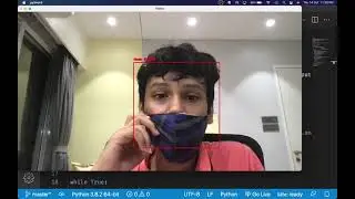 Live Face Mask Detector In Python Code Walkthrough