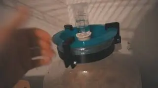 BEST Big Mouth Bubbler Lid Solution