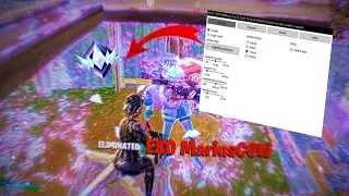 Cheating in Fortnite with Applecheats✨ | FT. Swaxxik | 60fps