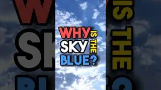 Help us reach 100 subscribers🙏❗️ #education #edutok #explained #science #sky #simplyexplained