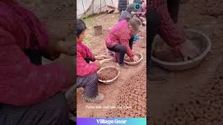 Forbidden Mud Cookies? 🤔 Seed Ball ASMR is Weirdly Satisfying! #oddlysatisfying #asmr #farming