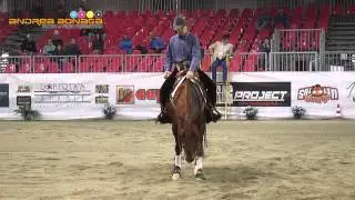 PIERLUIGI CHIOLDO - SATURDAYNIGH MIZZEN - AMBROSINI QH ASD