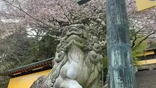 Visit the shrine　KONPIRASAN　temple shintoiste