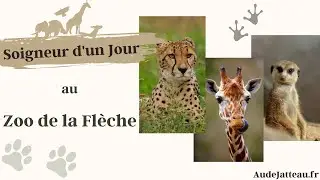 Soigneur d'un jour - Zoo de la Flèche ! Découverte de BioParc - Vlog 14