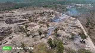 Bulldozing of forest and bushland near Townsville in the Great Barrier Reef catchment, 2025