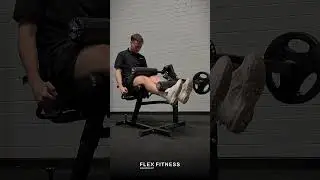 Armortech Leg Extension + Curl